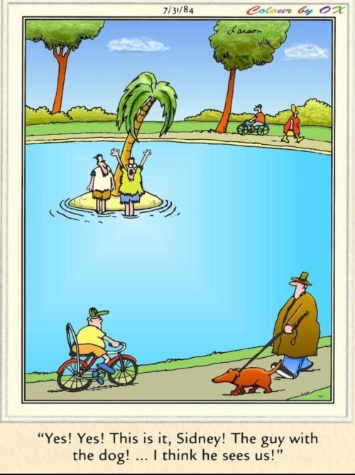 A man swims in a lake with a giant duck, amusing onlookers.