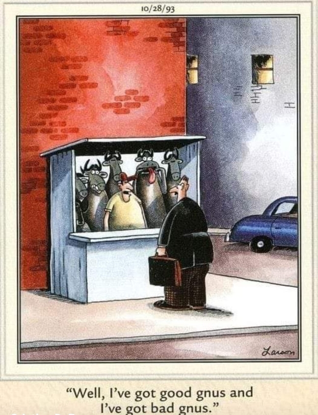 Penguins in a fish tank, a man watching and commenting humorously.