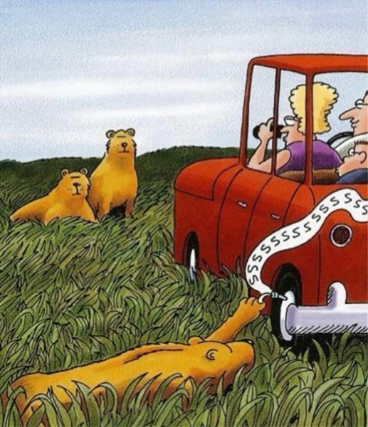 Cartoon characters in a red car encountering two lions in the grass.