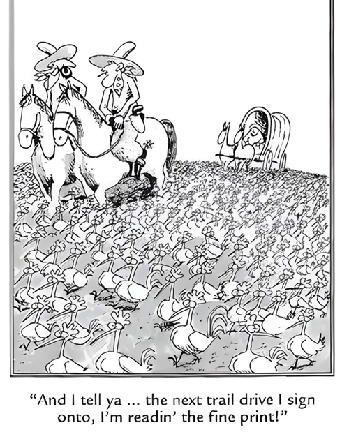 Cartoon showing a rabbit delivering carrots to a cat, questioning their quality.