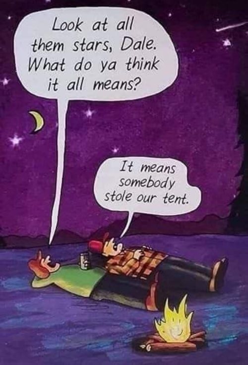 Calvin and Hobbes camping and pondering the stars.