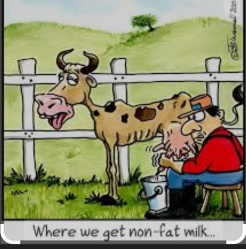 Cartoon cow and farmer discussing non-fat milk.