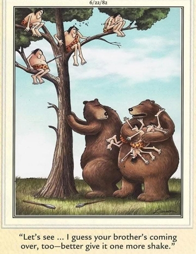 Two bears watch a squirrel in a tree, worried about its nuts.